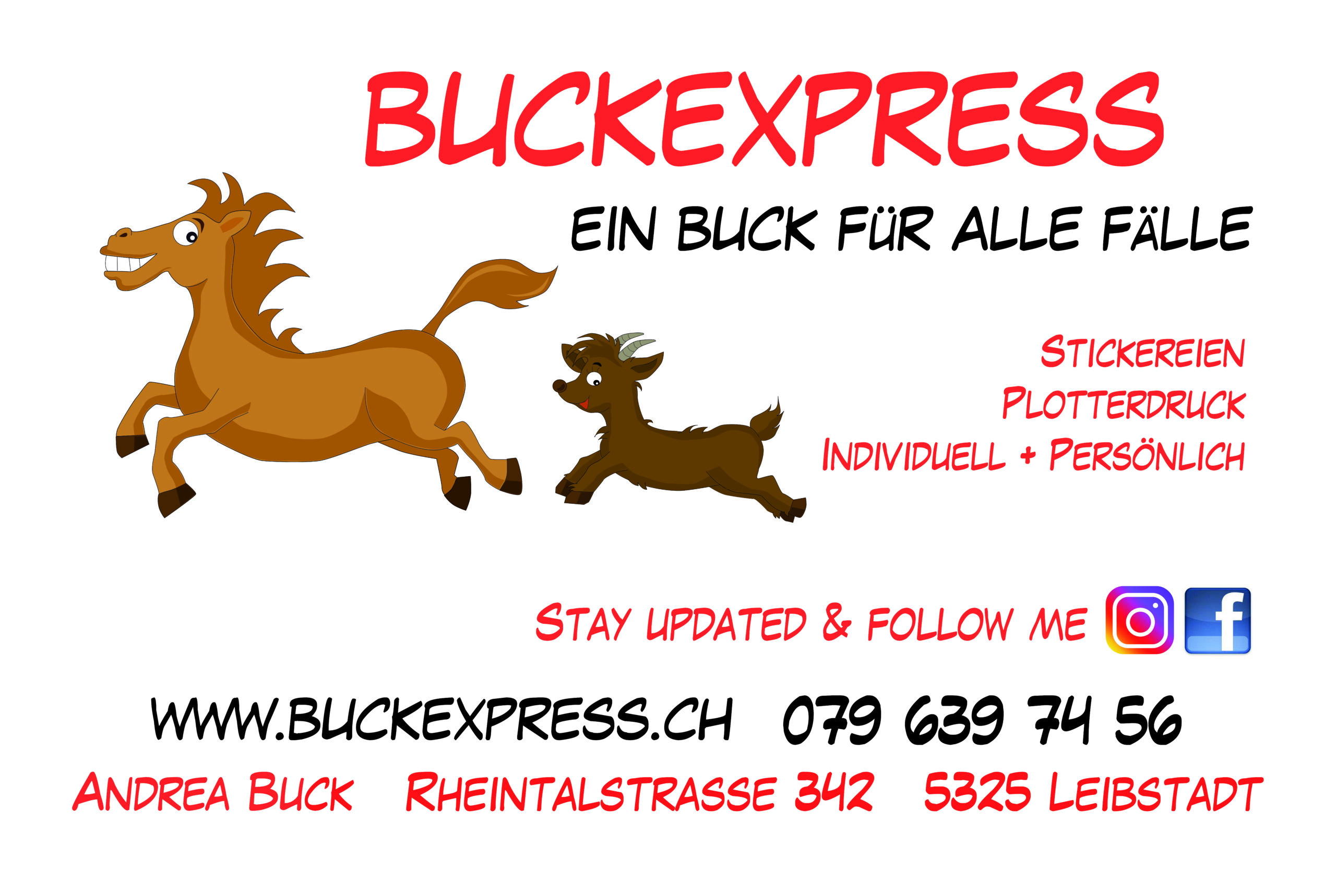 buckexpress.ch